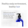 Pyunkang Yul [Pyunkang Yul]Low pH Scalp Shampoo 290ml