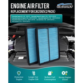 Cartist - Filtro de aire de motor de 2 piezas para Hyundai Santa Fe Sport 2012-18, Santa Fe Sport 2013-16, Santa Fe XL, 2013-19 Kia Sorento 2014-15 (no para Hyundai Santafe sport)