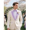 DiBanGu Mens Lavender Bow Ties Solid Color Ajustable Pre-tied Bowtie
