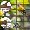 6 PCS Bird Perch, Natural Parrot Perch, Grape Wood Stands,