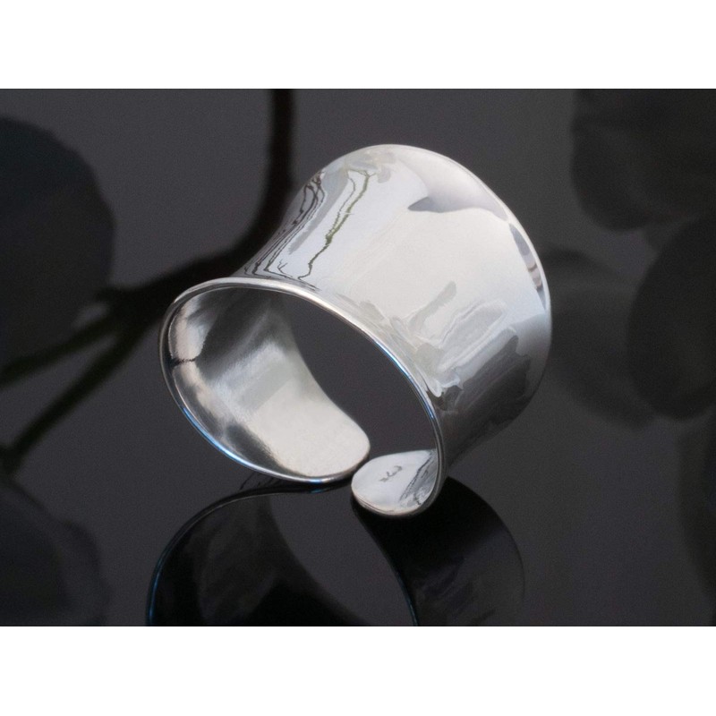 Fly Style Wide Silver Ring Women's Ring 925 Silver Ladies