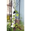 Achla Designs Downspout Wrought Iron Garden Trellis