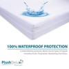 PlushDeluxe Premium Zippered Mattress Encasement, Waterproof, Bed Bug & Dust