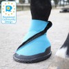 Woof Wear Medical Hoof Boot 9