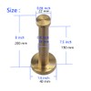 NELXULAS Golden Brushed Stainless Steel Single Heavy Duty Wall Mount