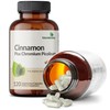 Futurebiotics Cinnamon Plus Chromium Picolinate Supplement, High Potency Chromium, Non-GMO,