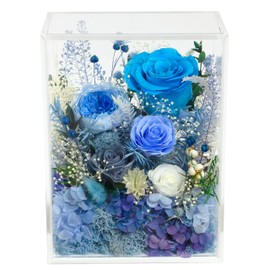 Valley of Rain & Forest Long-Lasting Real Flowers, Handcrafted Preserved Rose Bush For you to Send Love for All Occasions, Floral Arrangement for Indoor Decoration (Blue Rose)
