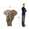 Life Size Cardboard Cutout Standup | Waterproof | Animals -