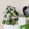 DR.UANG Watering Can, Indoor and Outdoor Watering Can for House