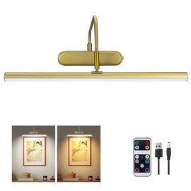 RAIFOOLLY Picture Light, 2 Colors Art Lights for Paintings,15.9" Battery Operated Wall Light,Remote Painting Light with Timer and Dimmable for Frame Portrait Dartboard(Antique Brass)