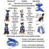 SERVICE DOG (Do Not Disturb/Dog Is Working) Blue Colour Coded