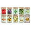 Vegetable & Herb Seed Set - 10 Varieties of Non-GMO