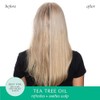 Hask Tea Tree Oil & Rosemary Invigorating Shampoo, 355 ml