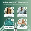 Bulk Essentials NAD+ Spray | 100 Sprays | Nicotinamide Adenine