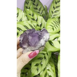 Wholesale 3 Lbs Natural Purple Cubic Fluorite Specimen Crystal Healing