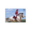 Woof Wear Vision Dressage Pad - Shiraz