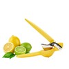 Chef'n FreshForce Lemon Squeezer Citrus Juicer, Manual Hand Press with