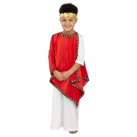 Fun Shack Roman Costume For Boys, Roman Emperor Toga Outfit For Kids, Historical Dress Up Costume For Children, X-Large