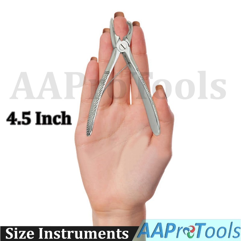 AAProTools Dental Tartar Forcep 4.5" Calculus Remover Tooth Scraper Veterinary