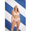 Miss Mary of Sweden Tshirt Bra for Women - Seamless