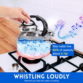 GGC Whistling Stove Top Tea Kettles, 304 Stainless Steel Tea Kettles with Anti-Heat Handle, 2.7QT/3L Tea Pot for Boiling Water, Coffee or Milk