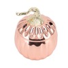 Pumpkin Wine Glass Pumpkin Shaped Stainless Steel Rose Gold Wine