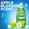 Dawn Dawn Dish Soap + Antibacterial Hand Soap, Includes 1