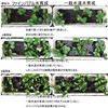 Aquabull AQ-SS Fine Bubble Generator for Watering, Gardening, Micro (Nano)