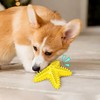 Falnatco Chew Toy for Dog Toothbrush Stick Dog Toys for