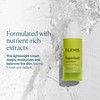 ELEMIS ELEMIS Superfood Day Cream | Vitamin-Rich Lightweight Prebiotic Daily