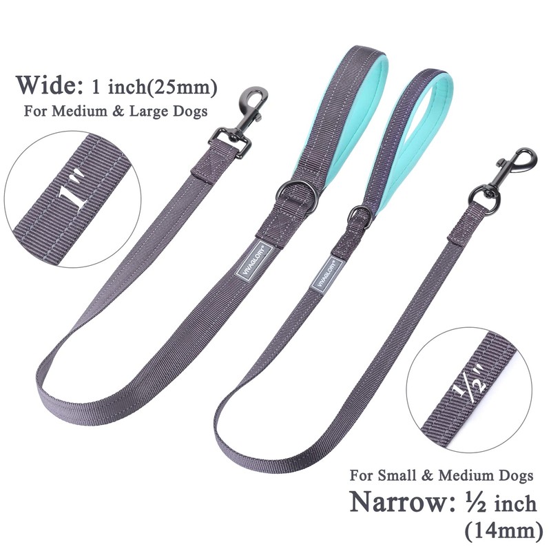 VIVAGLORY Dog Lead with Comfortable Neoprene Padded Handle, Heavy Duty