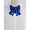 Allegra K School Ribbon, Ribbon Tie, Uniform Ribbon, Bowtie, Bowtie,