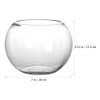 GANAZONO Glass Bowl and Vase - Clear Terrarium Globe for