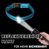 FAVPET Reflective Nylon Dog Collar, Reflective Dog Collar Adjustable, Dog