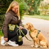 DOG Copenhagen Go Explore Treat Bag, Purple Passion, One Size