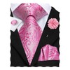 Hi-Tie Ties for Men Pocket Square Cufflinks Lapel Pin Mens