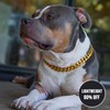 19mm Gold Plated Metal Cuban Link Chain Collar with Latch