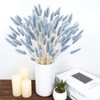 VirtuGro 120pcs Bunny Tails Dried Flowers Grey Blue Pampas Grass