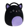 SQUISHMALLOWS AUTUMN BK CAT TP