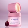Resveratrol-Lift Night Cream - 50 mL - Refill