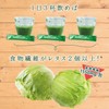 つぼ市製茶本舗 お茶屋の青汁 3g×30ｐ（2袋） 国産 大麦若葉 緑茶 食物繊維 オリゴ糖 スティック 粉末