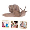 SAFIGLE 2pcs Snail Model Toys Snail Toy Simulation Animal Figures