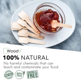 Disposable Wooden Spoons 2-3/4" 100 Pcs - Square End Tasting Spoons Perfect for Crafts and Sugar Scrubs - Ice Cream Spoons