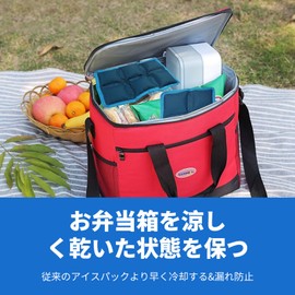 WORLD-BIO Ice Pack for Cooler Box, Icing Gel Pack, Cooling Mat, Bento Box, Flower Viewing, Fishing, Camping, Heat Prevention, Leak Proof, Convenient to Carry 4 Pieces