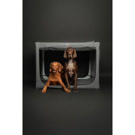 Noah & Paw Collapsible Dog Crate 42 Inch, XXL Dog Crate for XXL, XL, Large Breeds, Travel Kennel for Car, Includes Pet Mat for Pet Cage, 2 Storage Pockets, Handbag, 10mm Locking Zippers 42 * 31 * 31