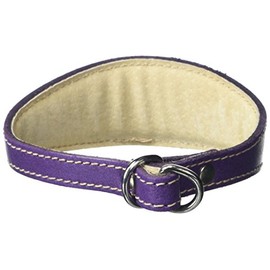 BBD Pet Products Italian G. Hound Slip Collar, One Size, 1/2 x 10 to 12-Inch, Purple