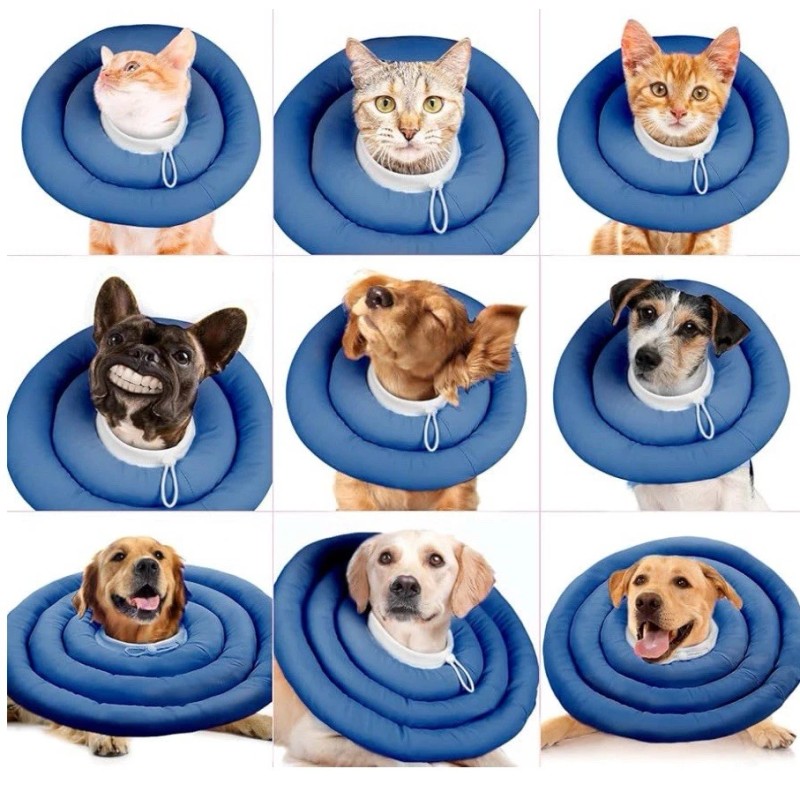 Arrr Pet Recovery Collar Cone Donut Dog Cats Surgery Adjustable