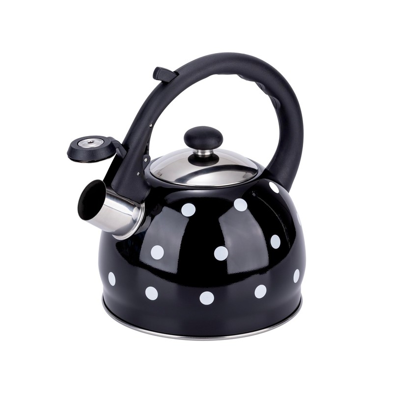 EliteHoff Stainless Steel Induction Kettle Small Tea Kettle for All