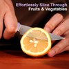 3.5 Inch Paring Knife, Small Kitchen Knife with AR-RPM9 Steel