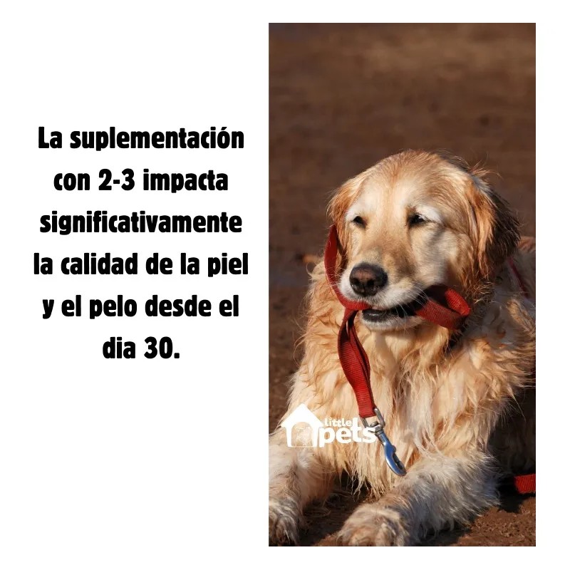 Elanco Equilibrium Para Perro Senior 60tab Pack De 2 Frascos